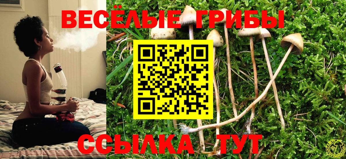 Галлюциногенные грибы MAGIC MUSHROOMS Камышин