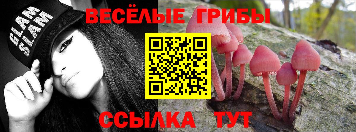 Галлюциногенные грибы прущие грибы  Вход с VPN  Камышин 